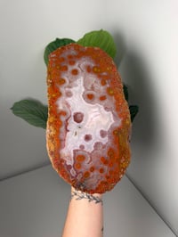 Image 1 of XXL MOROCCAN MOUNTAIN RED AGATE WITH NATURAL HEART