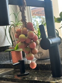 Image 2 of Grape Vine suds 