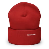 Image 4 of Cold Water on Cuffed Beanie