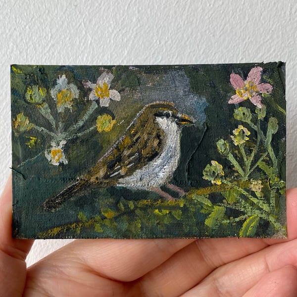 Image of sparrow in the blackberry hedge