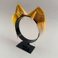 Image 2 of Bee Kitten 2 