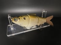 Image 4 of Goldfish Shad Swimmer 