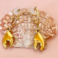 Image 3 of Crab Claw Half Hoops
