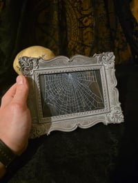 Image 3 of Ornate Matte Silver Ornate Preserved Spider Web 