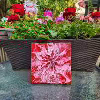 Image 2 of Spirit of the North 8x8