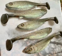 Image 3 of 5” G5 Hand Poured Swimbaits - G5 - 1024