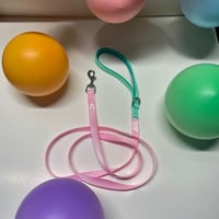 Image 3 of Nylon Leash