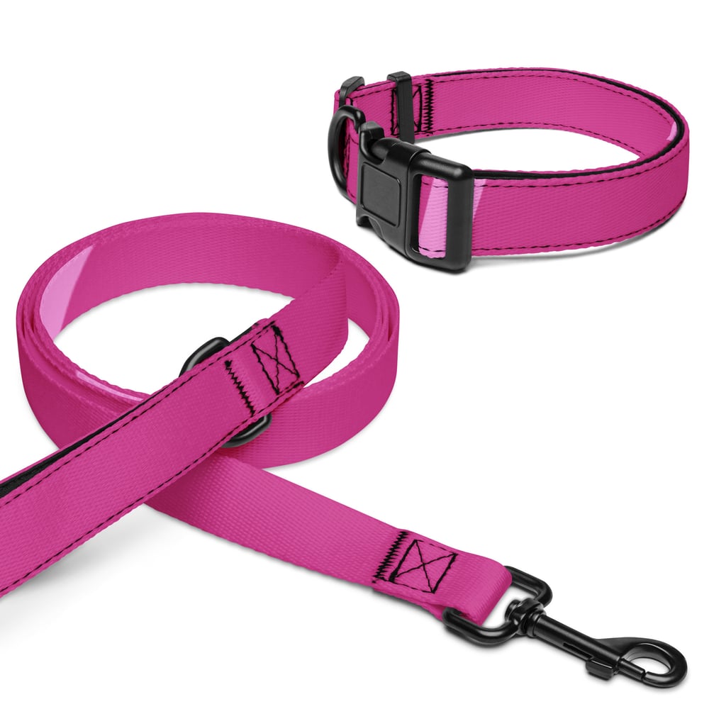 Image of Pet collar & leash Pink Love