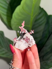 Image 2 of COPPER X MALACHITE STAINED QUARTZ -MOROCCO- D