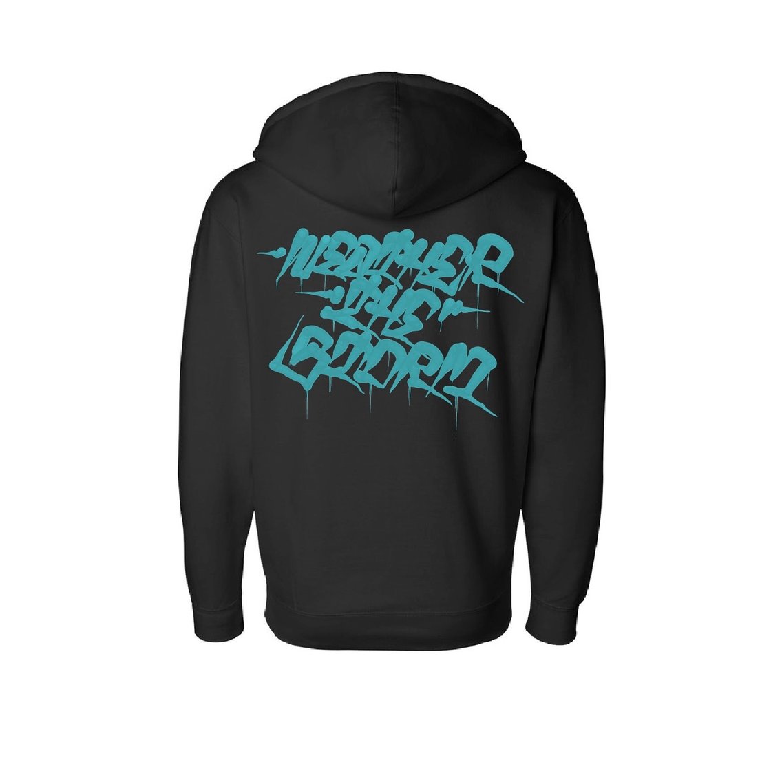 Image of WEATHER THE STORM (BLK/MINT HOODIE)