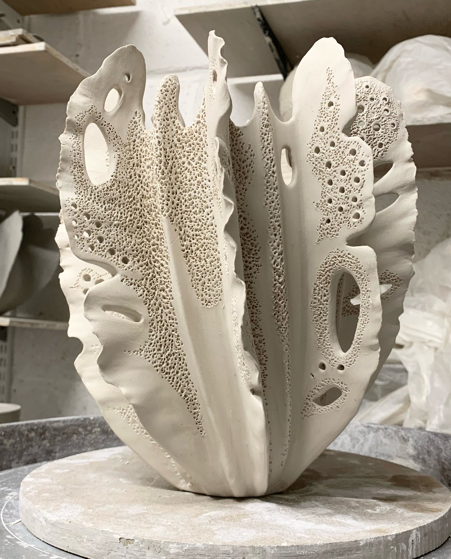 Image of Black and White Coral 