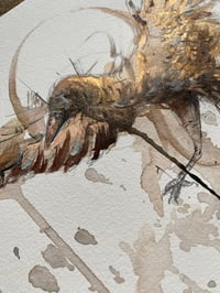 Image 5 of Corbeau Or 