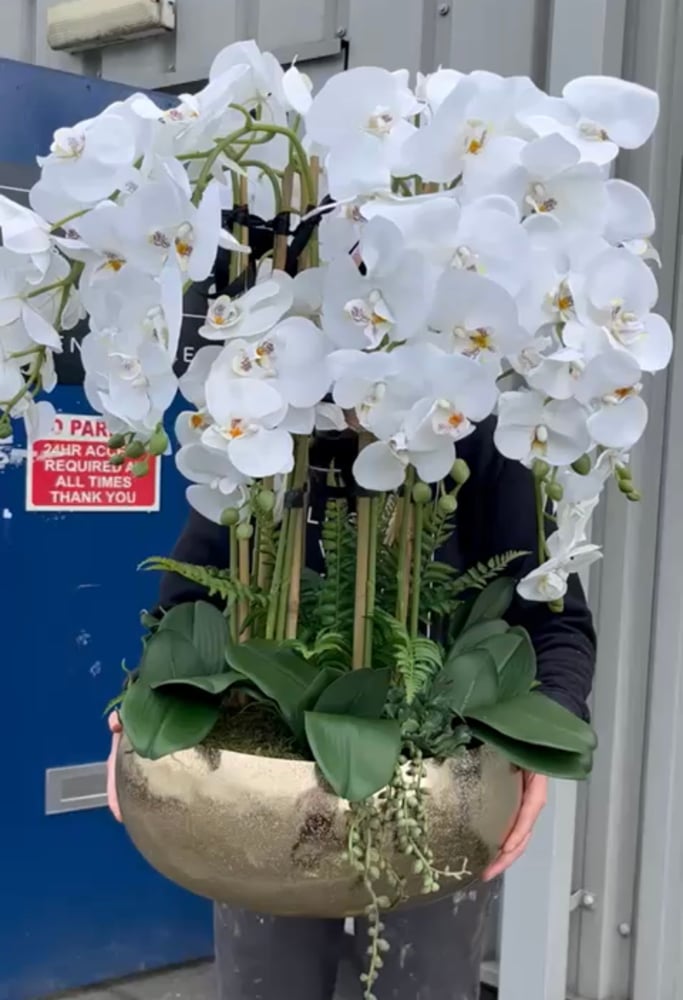 Image of NEW!!!!! Mega XXL gold bowl orchid arrangement 