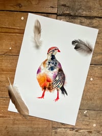 Image 3 of "Red Legged Partridge" Original