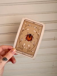 LIVE 6 Card Oracle Reading