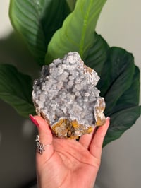 Image 1 of SUGAR DRUZY CHALCEDONY X MANGANESE -MOROCCO- F