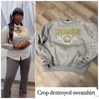 Small-xl crop L A sweatshirt 