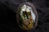 dead good insect scene necklace Image 9