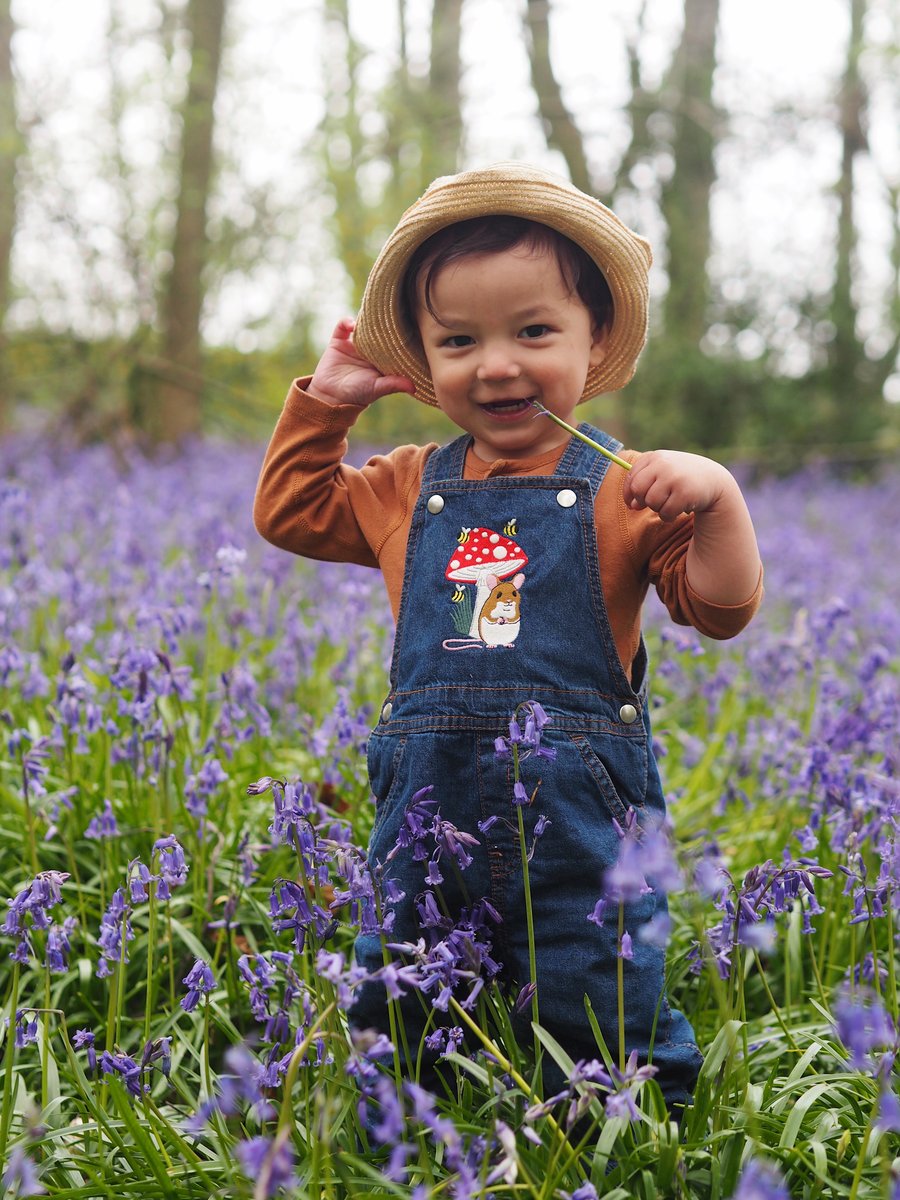 Image of Denim Dungaree's - Any Design Available