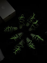 Image 4 of MASA 🏕️🐍💚