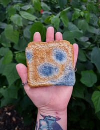 Image 1 of Breadrot