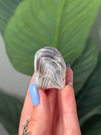 Image 1 of TUMBLED AGATE #29 -BOTSWANA-
