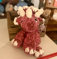 Pipa the Triceratops-Local Pick Up