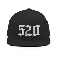 Image 1 of LOWER AZ 520 Snapback Hat