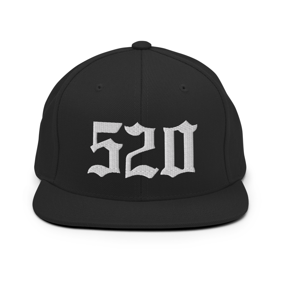 Image of LOWER AZ 520 Snapback Hat