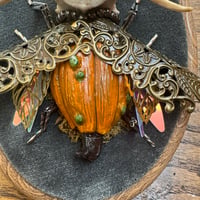 Image 2 of Vertebrae pumpkin beetle (b,  4x5 inches)