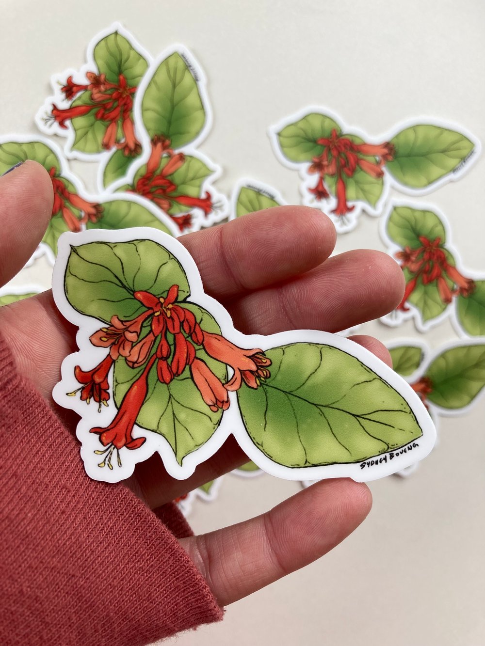 Image of Honeysuckle Sticker