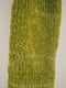 Image of Green short sweater
