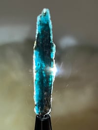 Image 12 of Ocean Kyanite Harts Range | NT Australia #2886