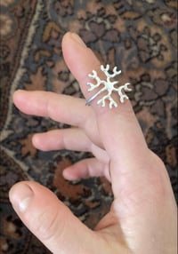 Image 1 of Radiolaire 2