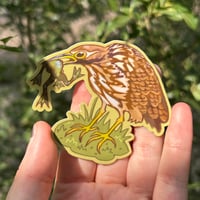 Image 2 of american bittern sticker
