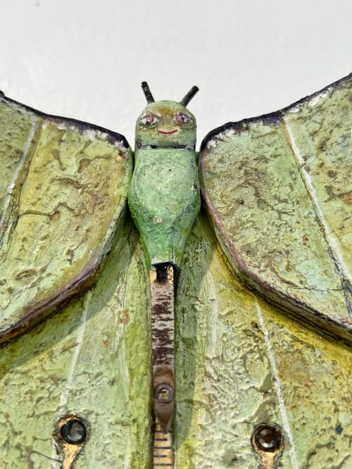 Image of Luna Moth- Jil Johnson