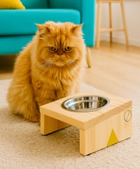 Image 1 of Korita INCLINADO individual