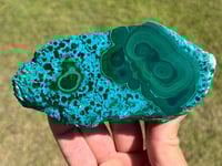 Image 8 of Malachite & Chrysocolla Polished Slab #2305