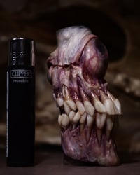 Image 1 of The Monstrous - collectible Clipper Lighter Sleeve