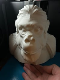 Image 1 of paint your own gorilla bust