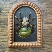 Image 4 of Pumpkin spider (b, 5x6 inches)