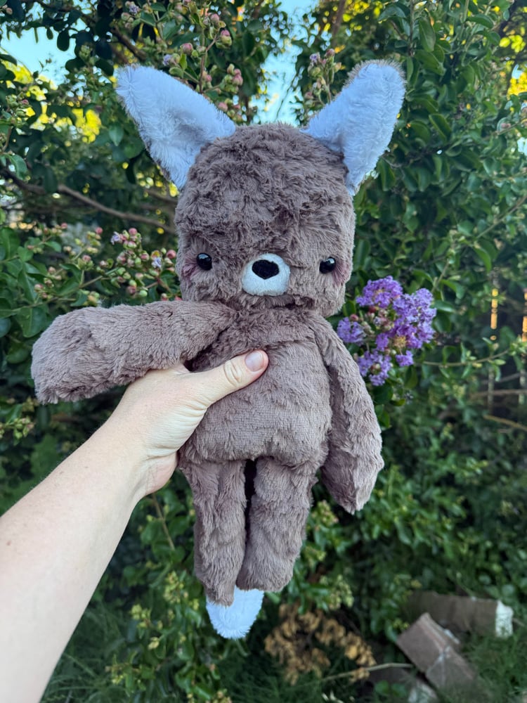 Image of Brown fox