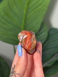 Image 1 of TUMBLED AGATE #14 -MALAWI-