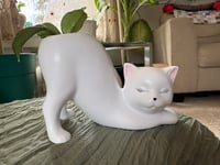 Image 1 of Hoya Pubicalyx in White Cat Pot