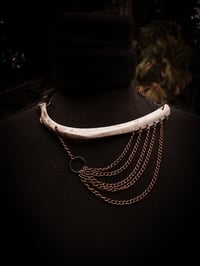 Image 1 of rib and chain