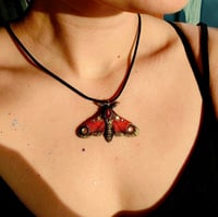 Image 2 of Magiczne ćmy 🦋✨