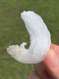 Image 3 of Ram’s Horn Selenite, Gypsum Specimen | Guizhou China #3050