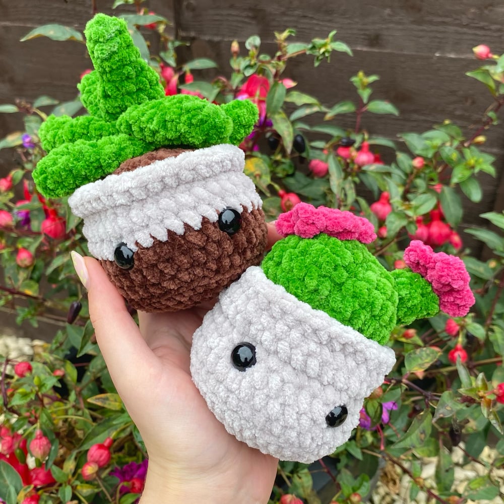 Image of Crochet Plants