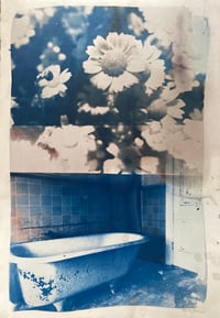 Image 1 of flowerbath