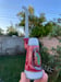 Image of Wig Wag Sipper 